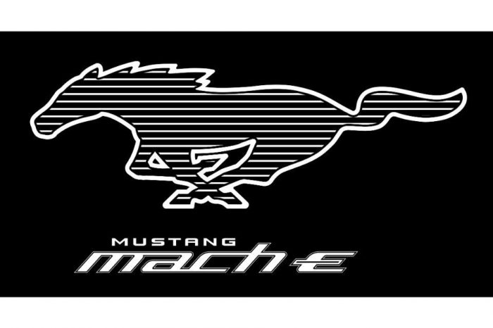 Ford Mustang Mach-E is the newest member of the Mustang Family: online pre-order starting November 18