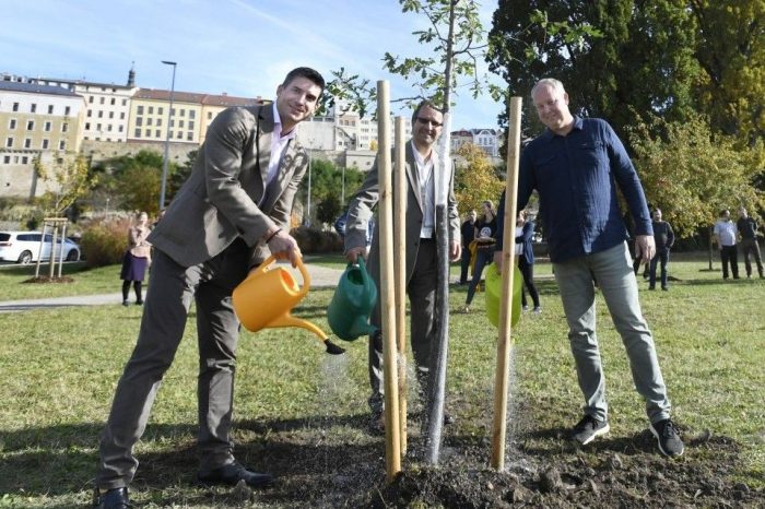 Skoda has planted one million trees in the Czech Republic